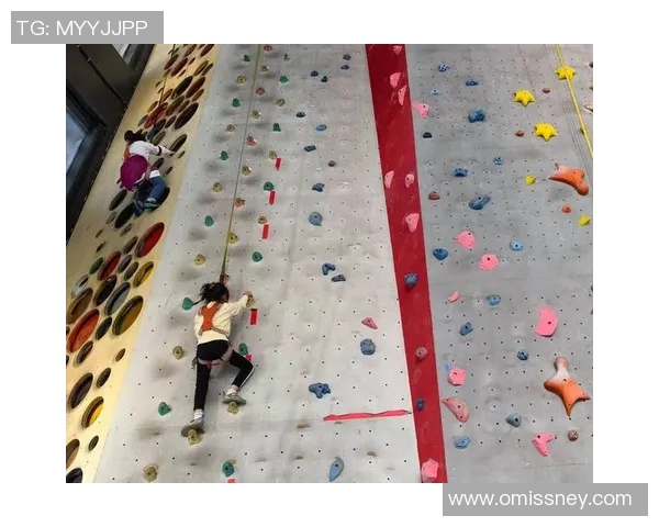 上海攀岩队快攻策略分析与运动攀岩比赛表现评估 上海攀岩队快攻策略分析与运动攀岩比赛表现评估